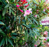 Mercury motor inn - Your Accommodation