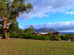 Book Wartook Accommodation Your Accommodation Your Accommodation