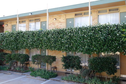 Mid City Motor Inn Queanbeyan - Your Accommodation 1