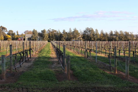 Milawa Vineyard Views - Guesthouse 1 - Your Accommodation 1