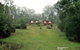 Minnow Cabins Lower Beulah - thumb 0