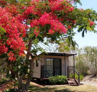 Mt Larcom Tourist Park - Your Accommodation