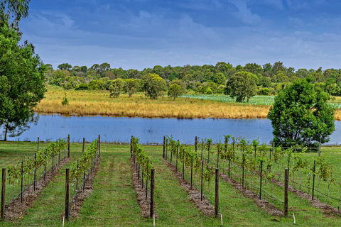 Narangba Motel (formerly Brisbane North B&B And Winery) - Your Accommodation 3