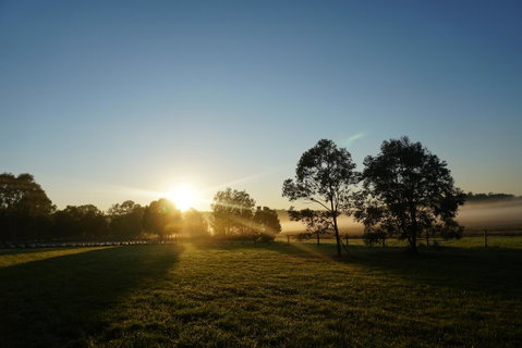 Narangba Motel (formerly Brisbane North B&B And Winery) - Your Accommodation 2