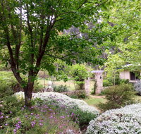 Naturescape - Your Accommodation