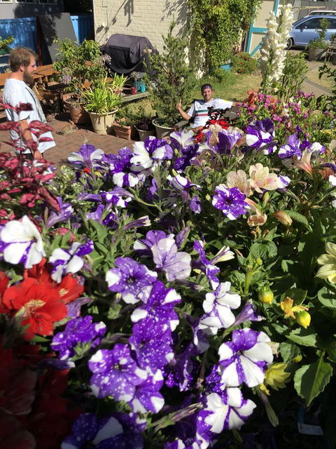 1849 Backpackers Albany - Your Accommodation 15