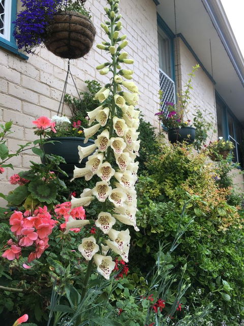 1849 Backpackers Albany - Your Accommodation 32