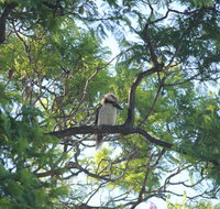 Jacaranda Hideaway Bed  Breakfast - Your Accommodation