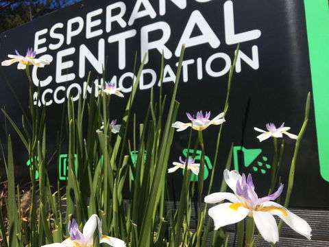 Esperance Central Accommodation - Your Accommodation 0