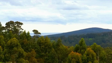 Karri Aura - Your Accommodation 10