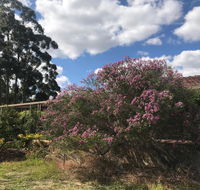 Cockburn Retreat Home  - Your Accommodation