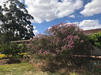 Book Cockburn Central Accommodation Vacations Your Accommodation Your Accommodation