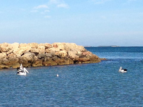 Gypsy Cottage - Your Accommodation 13