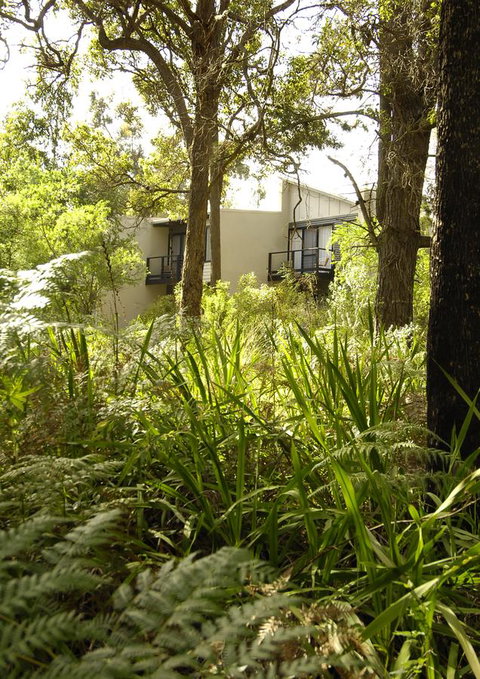 Margarets Forest - Your Accommodation 41