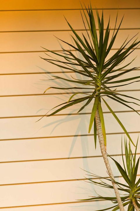 The Billi Resort - Your Accommodation 44