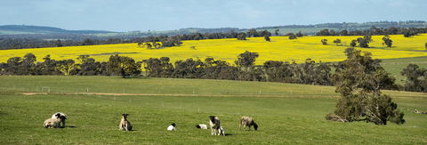 Kendenup Cottages And Lodge - Your Accommodation 44