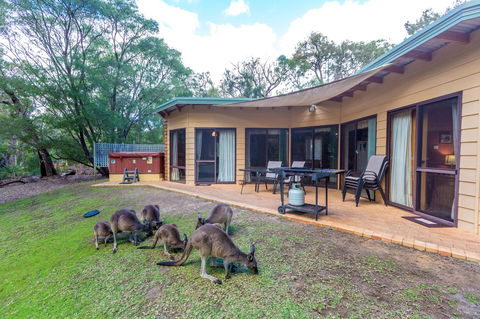 Yelverton Brook Conservation Sanctuary - Your Accommodation 18