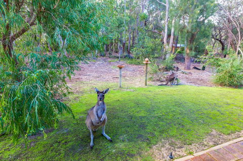 Yelverton Brook Conservation Sanctuary - Your Accommodation 11