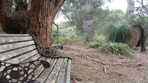 Yelverton Brook Conservation Sanctuary - Your Accommodation 42