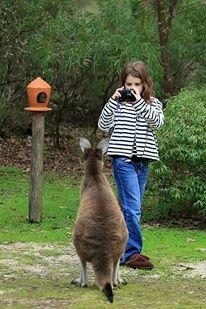 Yelverton Brook Conservation Sanctuary - Your Accommodation 39