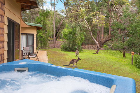 Yelverton Brook Conservation Sanctuary - Your Accommodation 9