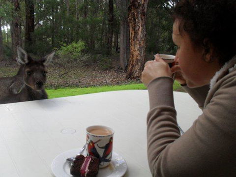 Yelverton Brook Conservation Sanctuary - Your Accommodation 44