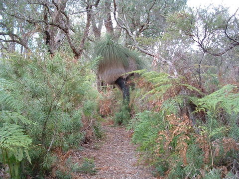 Yelverton Brook Conservation Sanctuary - Your Accommodation 41