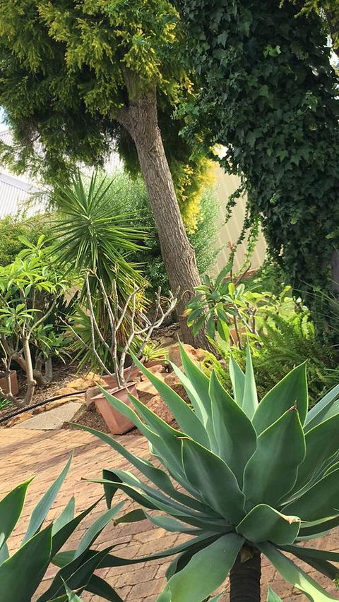 Armadale Cottage Bed & Breakfast - Your Accommodation 1