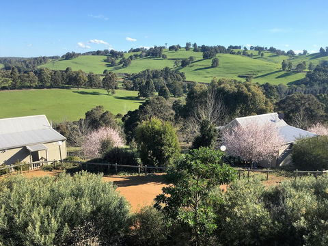 Balingup Highview Chalets - Your Accommodation 5