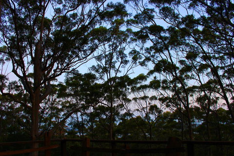 Ark Of Denmark - Your Accommodation 27