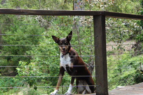 Ark Of Denmark - Your Accommodation 10