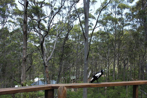 Ark Of Denmark - Your Accommodation 11