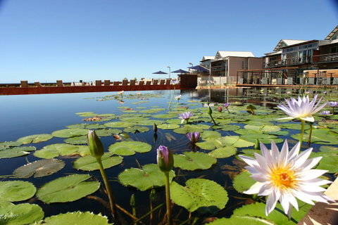 Mantarays Ningaloo Beach Resort - Your Accommodation 4