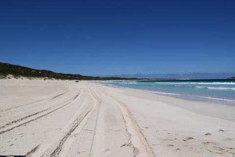 Eagle Bay House - Your Accommodation 37