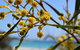 Eagle Bay House - thumb 28