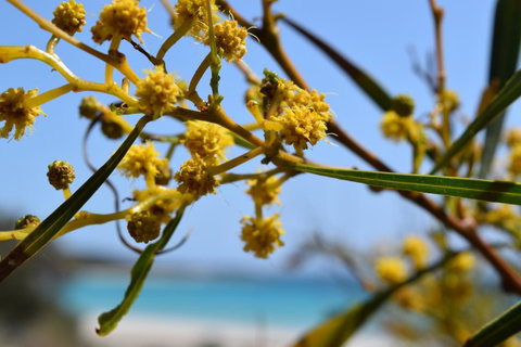 Eagle Bay House - Your Accommodation 28