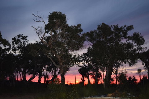 Eagle Bay House - Your Accommodation 5
