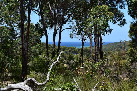 Eagle Bay House - Your Accommodation 38