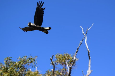 Eagle Bay House - Your Accommodation 8