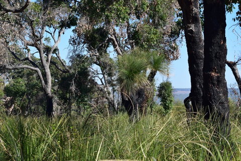 Eagle Bay House - Your Accommodation 32