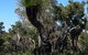 Eagle Bay House - thumb 36