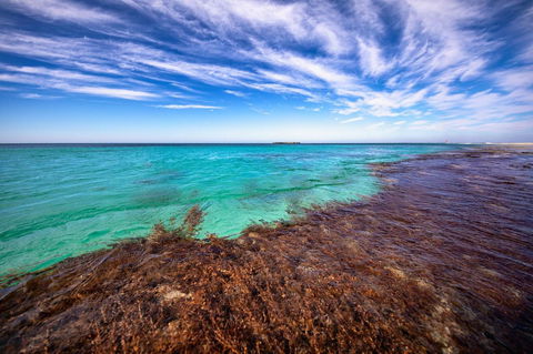 Discovery Resorts - Rottnest Island - Your Accommodation 24