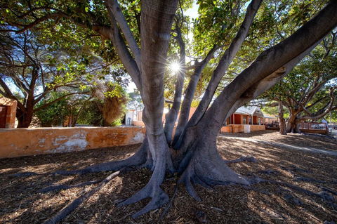 Discovery Resorts - Rottnest Island - Your Accommodation 23