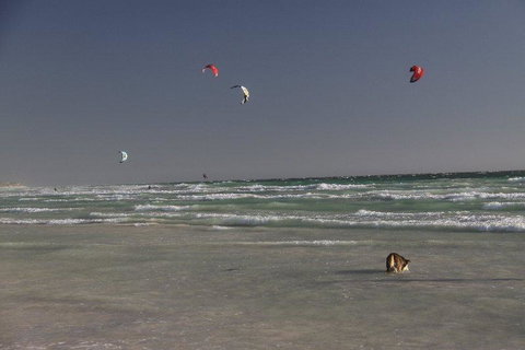 Dongara Tourist Park - Your Accommodation 33