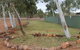 Meekatharra Accommodation Centre - thumb 12
