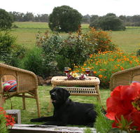 Silversprings cottages - Your Accommodation