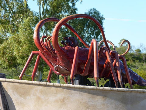 Leander Reef Holiday Park - Your Accommodation 4