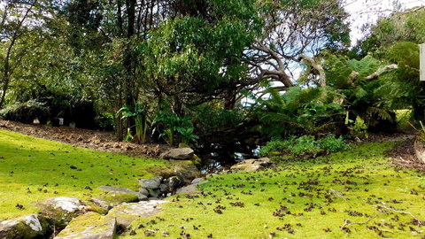 43 Degrees Bruny Island - Your Accommodation 8