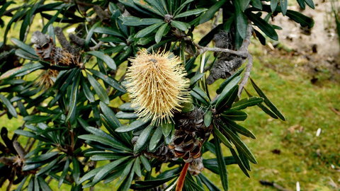 43 Degrees Bruny Island - Your Accommodation 11