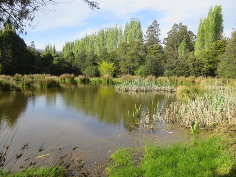 Giants Table And Cottages - Your Accommodation 25